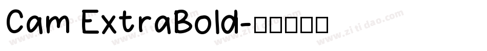 Cam ExtraBold字体转换